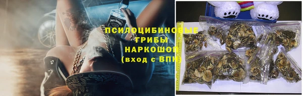 ECSTASY Бердск