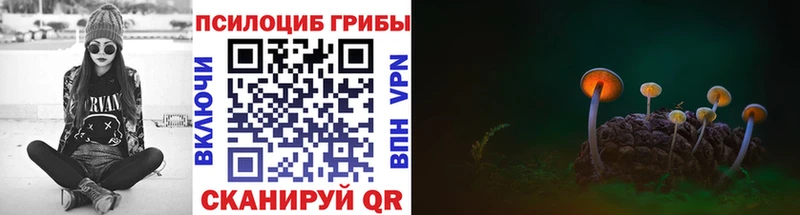 Псилоцибиновые грибы Psilocybine cubensis  даркнет состав  Дубовка 